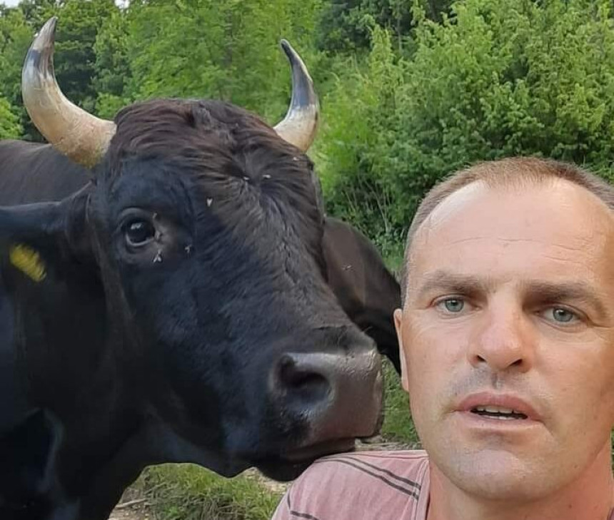 Трагедија код Јајца: Бик убио власника