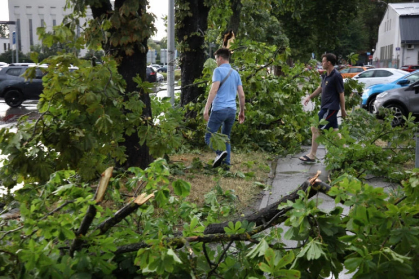 Novi Sad: Stablo palo na dijete i ženu tokom nevremena