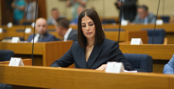 U „Šumama Srpske“ ni novca, ni šume