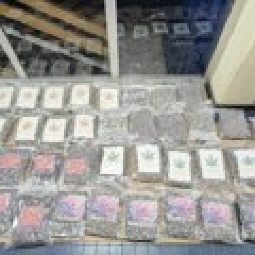 У Новом Саду заплијењено 50 кг марихуане