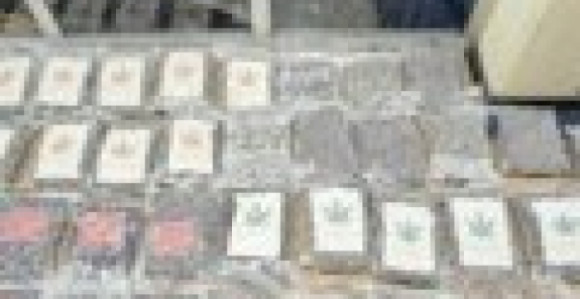 У Новом Саду заплијењено 50 кг марихуане