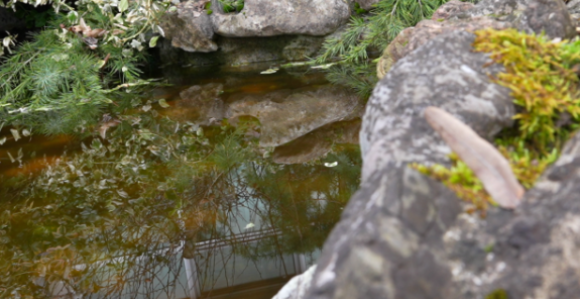 Данас промјенљиво облачно и топлије, и до 18 степени