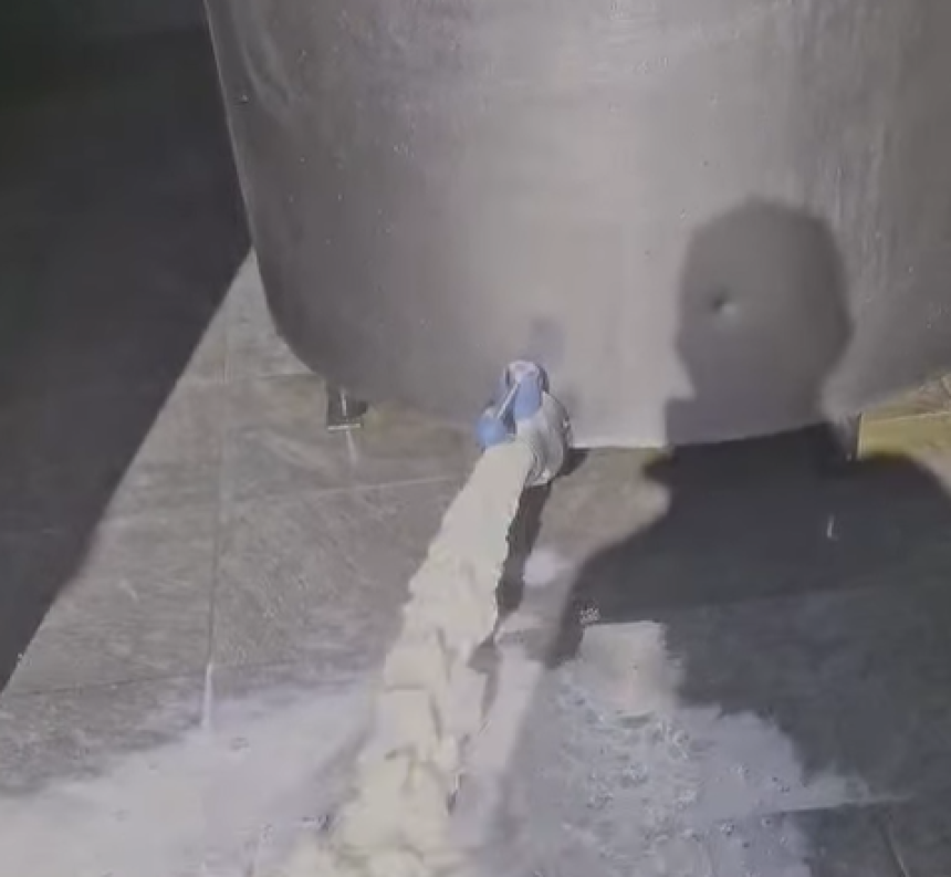 Laktaši, potresne scene: mlijeko teče u potocima