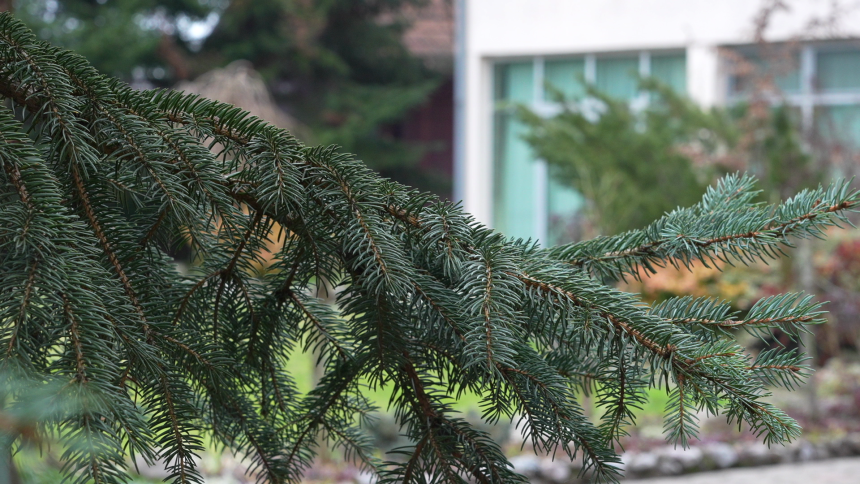 Danas sunčano, temperatura vazduha i do 20 stepeni