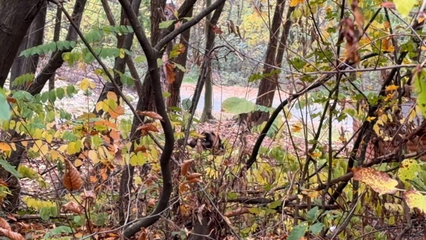 Данас ће бити топло и промјенљиво облачно вријеме