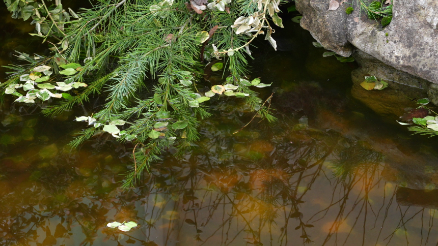 Danas sunčano i toplije od prosjeka, do 20 stepeni