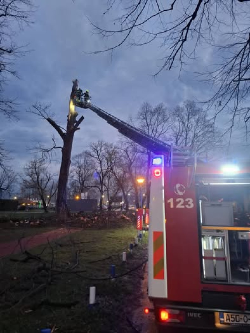 Гром ударио у дрво током невремена у Бањалуци