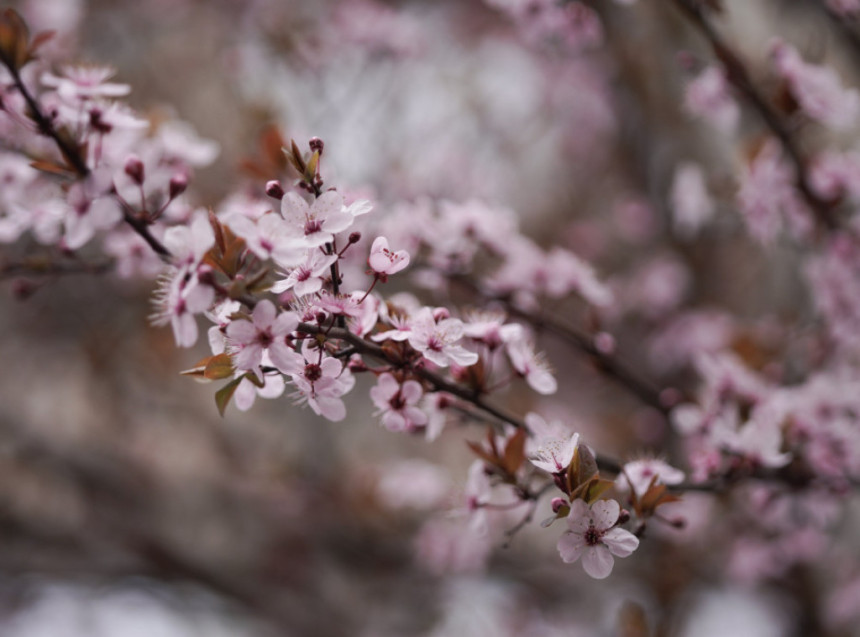 Вријеме данас: Промјењиво, смјена сунца, облака и кише