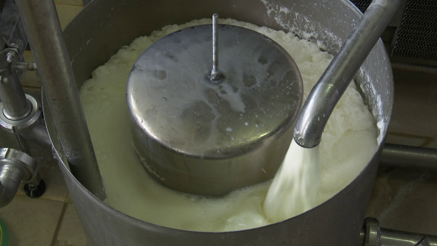 Пољопривредници чекају исплату четири премије за млијеко