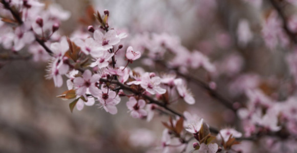Вријеме данас: Промјењиво, смјена сунца, облака и кише