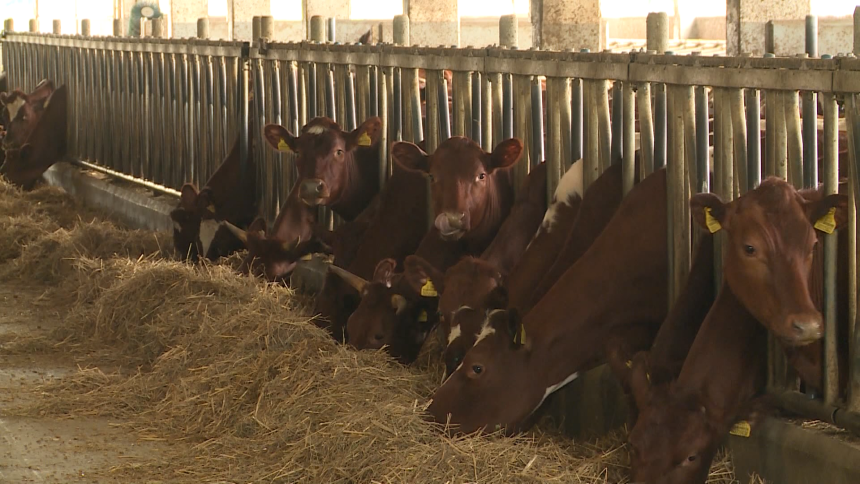 Smanjena otkupna cijena, smanjena i količina otkupa