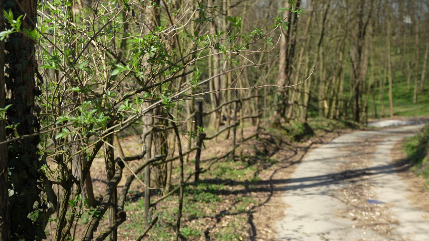 Промјенљиво облачно уз повремену кишу, до 17 степени