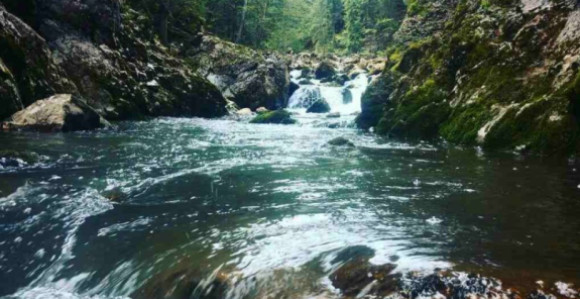 Interesi moćnika ugrožavaju još jednu rijeku u RS