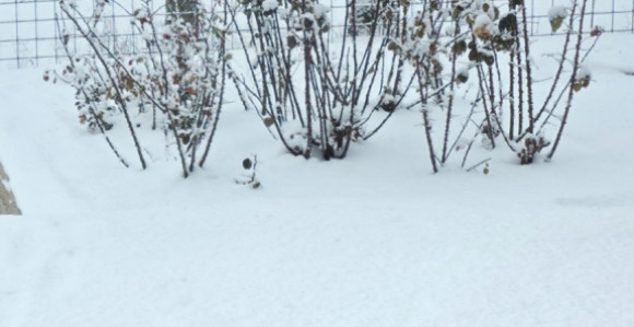 Hladno vrijeme uz česte padavine sve do 11. aprila
