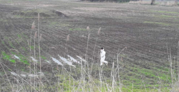 Ekološki alarm na Bardači: Pronađeni uginuli labudovi