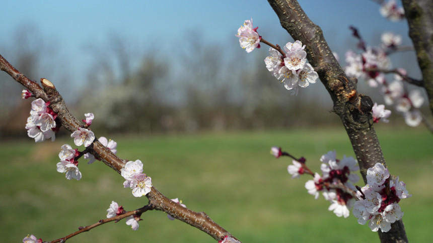 Pretežno sunčano uz prolaznu oblačnost, do 21 stepen
