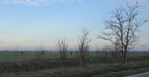 Viktor Orban krenuo ka mađarsko-srpskoj granici