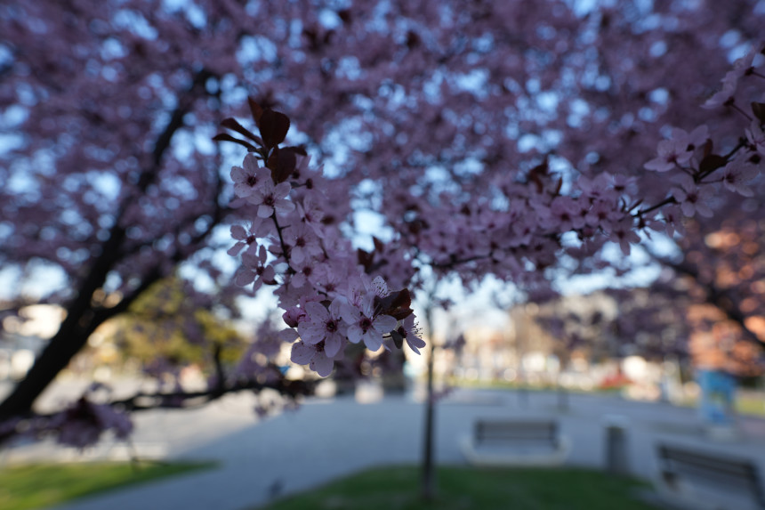 Шта каже прогноза, какво нас вријеме чека за Васкрс?