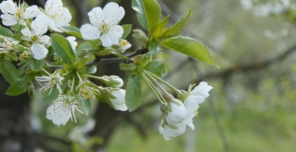 Током викенда сунчано и топло, уз малу облачност