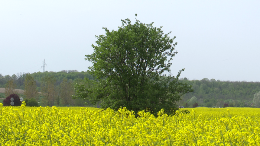 Oblačno i svježije vrijeme sa kišom, na jugu do 22°C