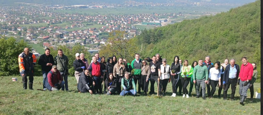 365 sadnica zasađeno u opštini Istočna Ilidža
