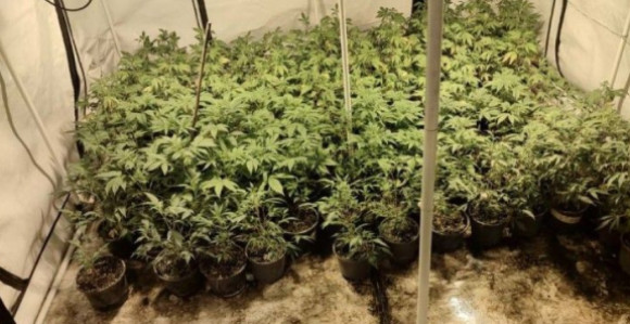 Uhapšena mlađa žena, pronađeno pet laboratorija