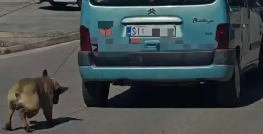 Дно дна! Везао пса за ауто и вукао га кроз град!