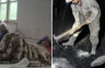 Rudari tri rudnika stupili u štrajk zbog neisplaćenih plata