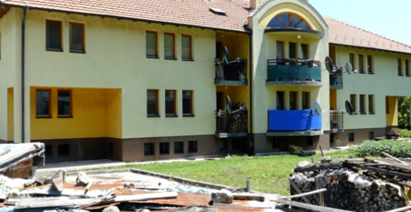 Kome su smetala stabla jabuke, trešnje i šljive