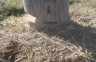 Mještani Podnovlja spriječili sječenje bilborda (VIDEO/FOTO)