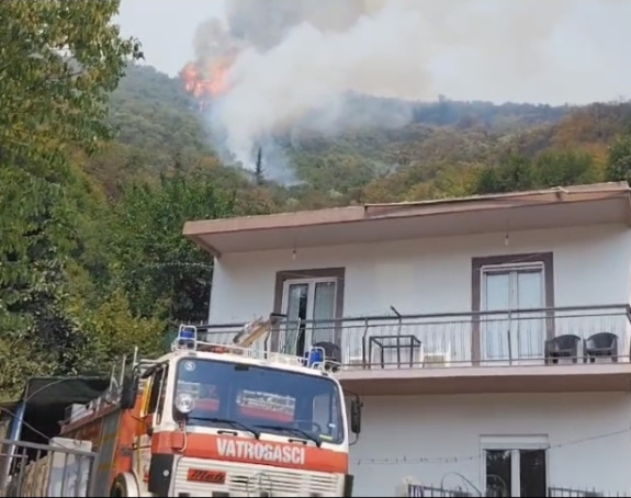 Požar kod Herceg Novog se širi, vatru gase i helikopteri