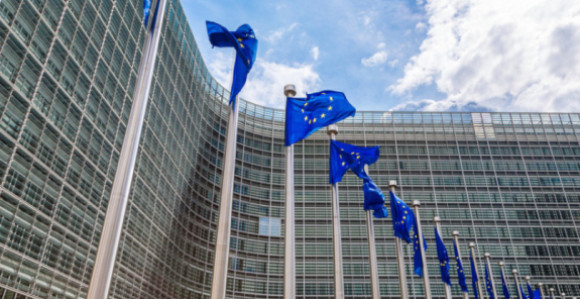 ЕУ: Испраћај Ратка Младића протекао без државних почасти