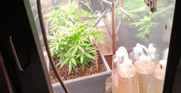 Predložen pritvor za tri lica osumnjičena za prodaju droge
