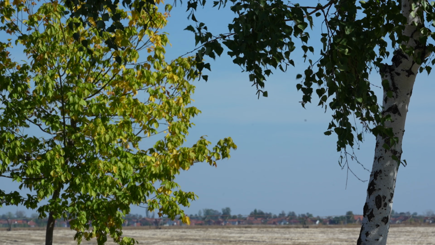 Danas sunčano i prijatno toplo, temperatura do 28°C