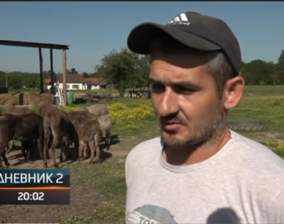 Апсурд у Добоју: Због „анонимне дојаве“ инспекција у контроли магарећег млијека које је до скоро хвалио и прорежимски РТРС