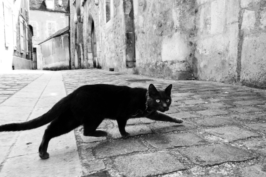 Sujevjerje: Ove babske priče su tačne!