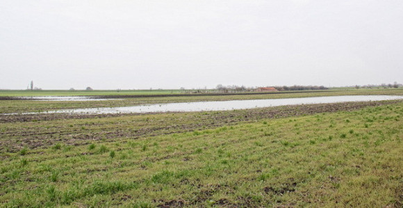 Zasijane površine u Šamcu pod vodom