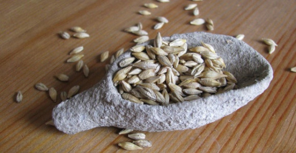 Iskopana kašika stara 7 hiljada godina