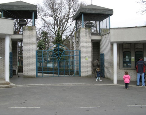 Vuk povrijedio djevojčicu u Zoološkom vrtu! 