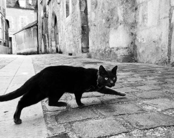 Sujevjerje: Ove babske priče su tačne!