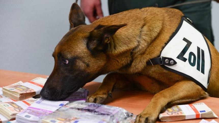 Пас трагач нањушио 250 хиљада евра на аеродрому