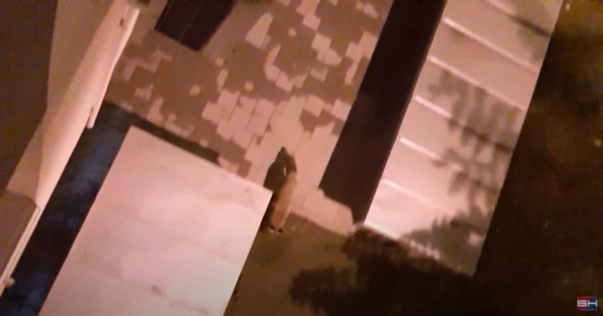 Занимљивост: Лисица шета бањалучким улицама (ВИДЕО)