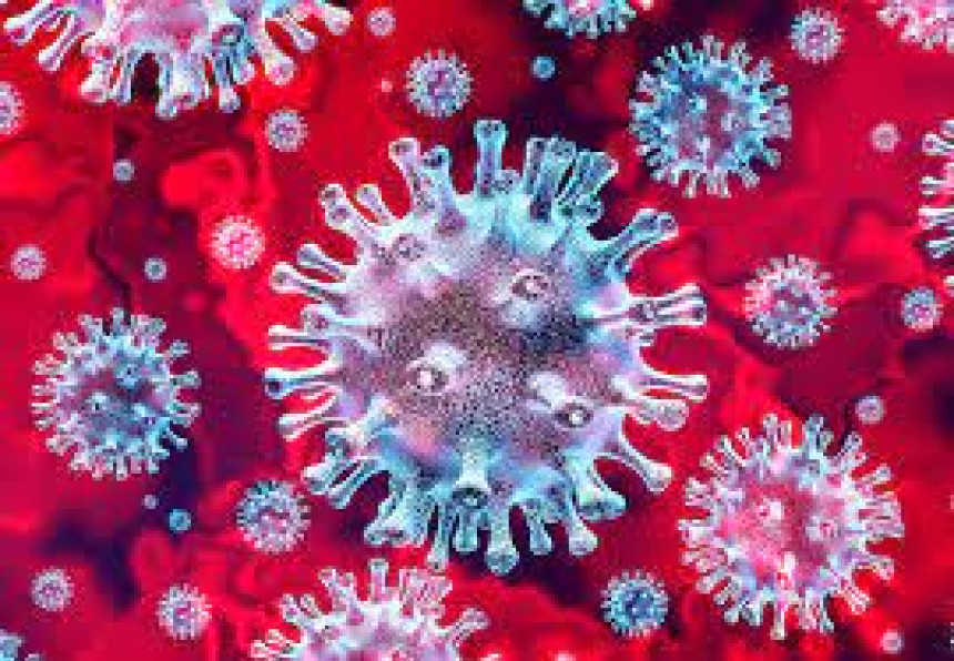 У Федерацији БиХ још 55 особа позитивно на вирус корона