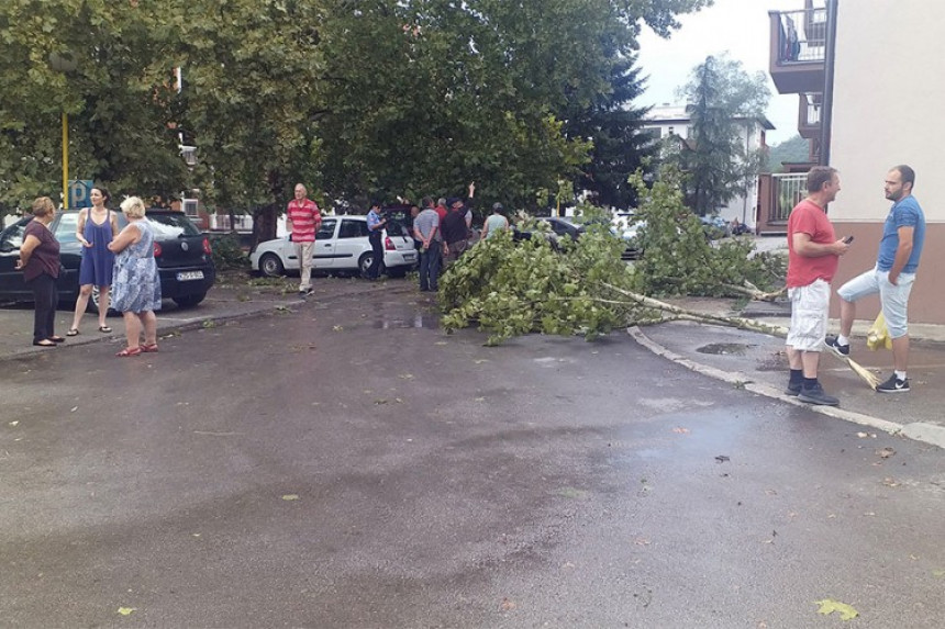 Jako nevrijeme u Milićima: Vjetar i kiša rušili stabla