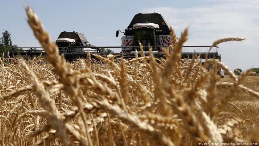 Rusi kradu žito, dio namijenjen za krijumčarenje?