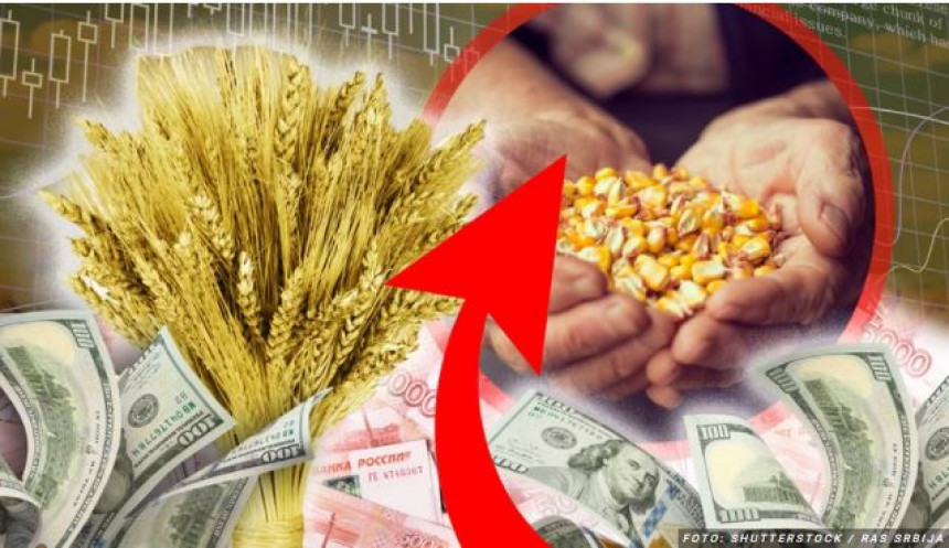 Укидање санкција Русији може ријешити кризу са храном