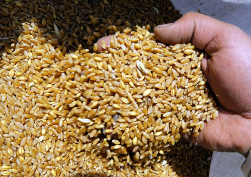 Због рата нема пшенице: Ратарима пријети затвор ако не предају род