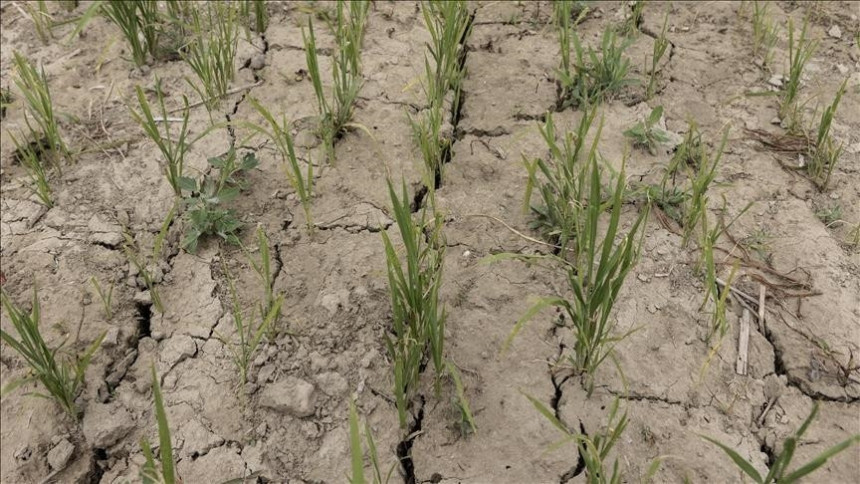 Francusku pogodila najteža suša u istoriji zemlje