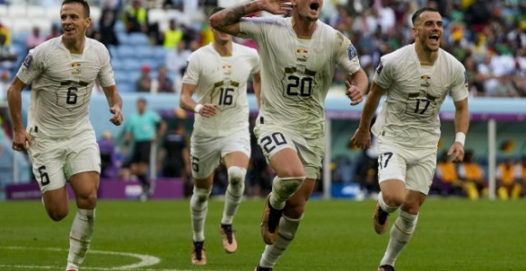 Srbija - Kamerun 3:3