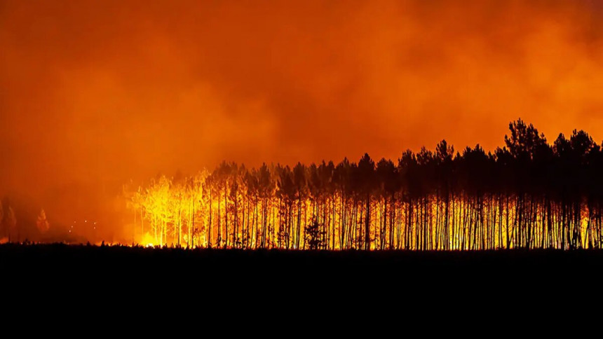 FR: Šumski požar, koji je izbio prije 8 meseci još tinja